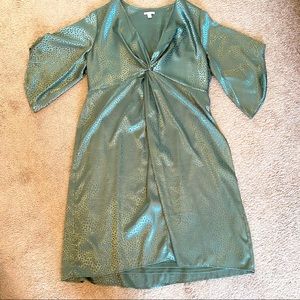 Green Animal Print Dress